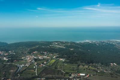 Magical Forest Hike & Picnic in Sintra