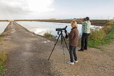 Ria Formosa Natural Park: A Birdwatcher’s Paradise - Self-Guided Birding w/ Car