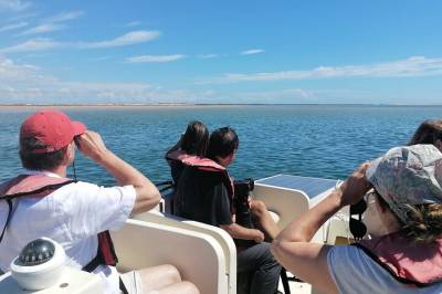 Faro Eco Boat Tour – Birdwatching in Ria Formosa