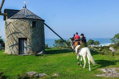 Viana do Castelo Horseback Riding Tour with Transport from Porto / Braga