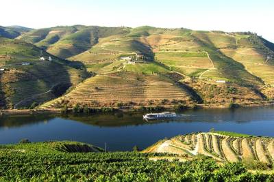 Douro Valley Day with Lunch from Porto PRIVATE