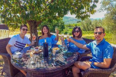 Private Douro Valley Tour - Visit Three Wineries with Wine Tastings and Lunch