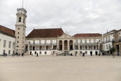 Private Buçaco and Coimbra Tour – A blend of Nature, History, and Tradition