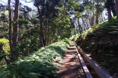 Private Guided Walk Levada Pedregal – Ponta do Pargo