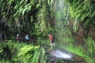 The King's Levada - Levada do Rei