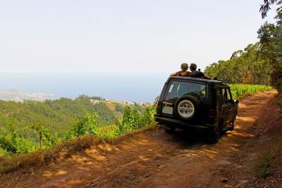 Half-Day Vineyards & Cliffs