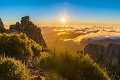 Madeira Island Sunrise Experience