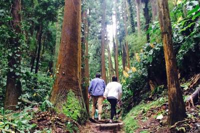 Pico do Ferro Trail Hike and Light Yoga on São Miguel Island