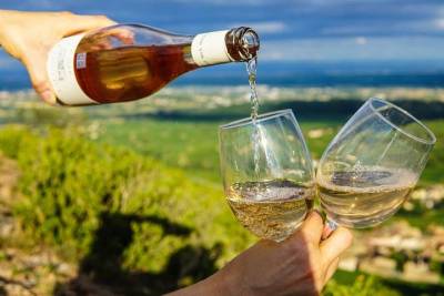 Lisbon Exclusive: Cheleiros and Bucelas Wine Tasting Tour from Lisbon