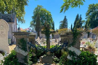 The Cemetery walk - Porto