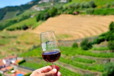 Private off the beaten Douro Valley Tour