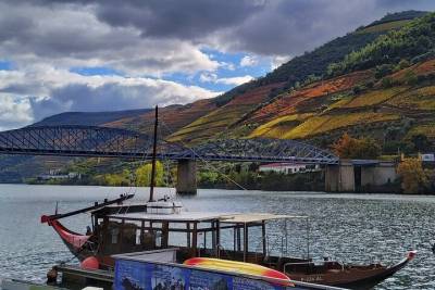 Douro Valley Full-Day Wine Tasting with Lunch Tour from Porto