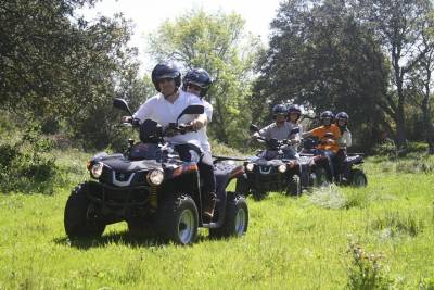 Small-Group Quad Bike Experience