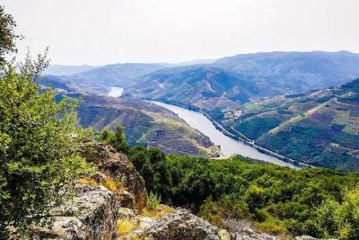 2 Days Douro Valley Tour - Douro Valley Wine Tour - Private Tour - All Included