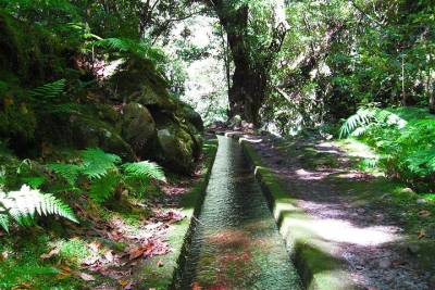 Hidden Corners: Levada Walk from Funchal