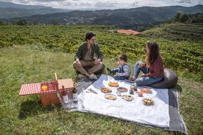 Wine Tasting & Picnic from Porto | Quinta de Santa Cristina Vinho Verde