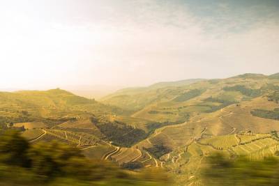 Private Full-Day Douro Valley Wine and Hike Tour from Porto