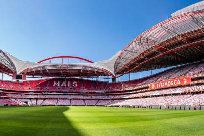 Benfica Stadium Tour and Museum Entrance Ticket