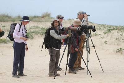 Birdwatching at Abicada and Alvor dunes