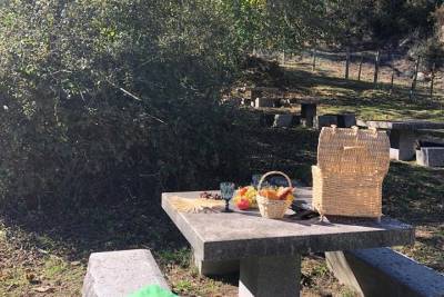 Private Typical Portuguese Picnic in Serra de Monchique