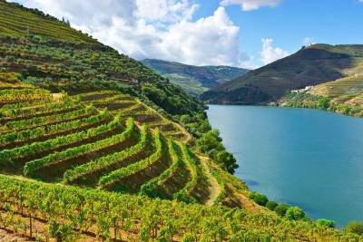 Douro Valley full-day private tour from Porto
