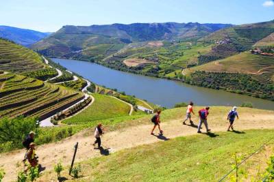 Douro Valley Tour with Wine Tasting, Lunch and Optional Cruise