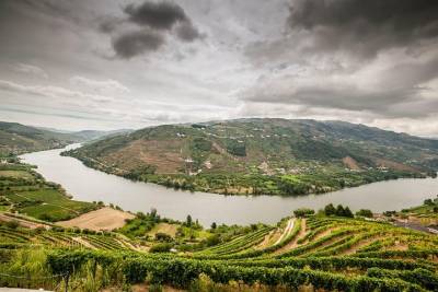 Douro Valley Private Tour from Oporto