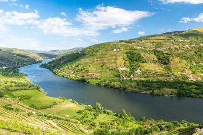 Private tour to Douro Valley with free wine tasting