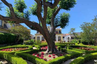 Setubal wine tour to two wineries private tour