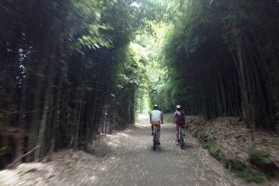 Bike Tour Furnas