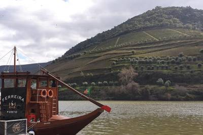 Douro Valley 2 Vineyards with Cruise