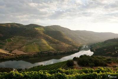 Our magnificent Douro Valley