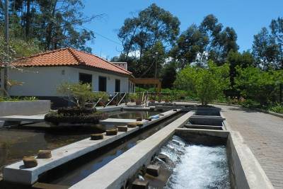 Private Guided Walk Levada Calheta – Prazeres