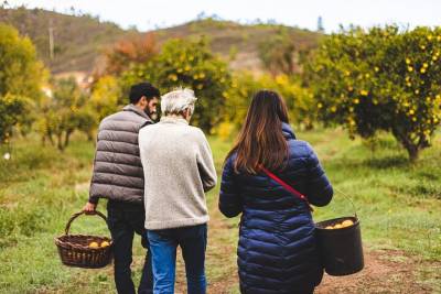 Citrus Picking with Lunch in a Secret Garden