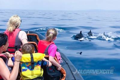 Cheapest Family Friendly Boat Trip From Vilamoura Algarve