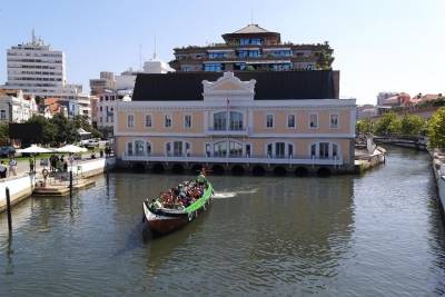 Private Aveiro City and Beaches Tour - Portuguese Venice