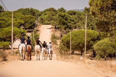 Alentejo tour with lunch and horseback ride on Melides beach