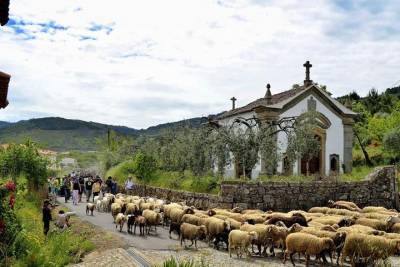 Private Tour to Portugal's Shale Historic Villages with Lunch