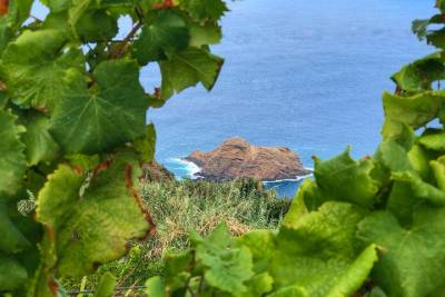 Rum, Poncha, and Madeira Wine Tour