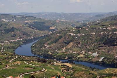 Private Tour through the Douro Valley with Lunch