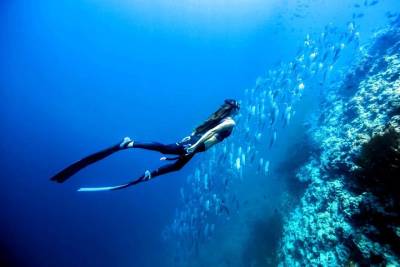 Private Free Diving and Snorkelling with Pick up