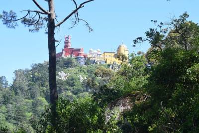 Sintra and Cascais with a Local Guide - Group tour starting from Sintra