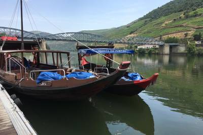 Douro Valley Private Tour: River Cruise, Lunch and Wine Tasting in a Vineyard