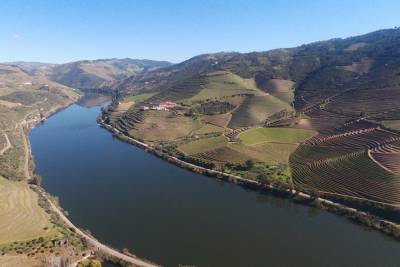 Private Full Day Tour Douro From Lisbon