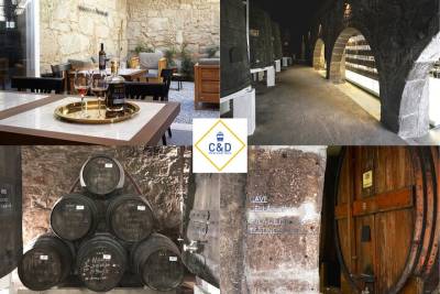 Port Wine Tour | 3 Cellars | 7 Tastings | Small Group
