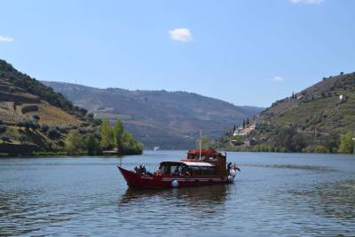 Private tour to Douro Valley from 1 to 6 passengers