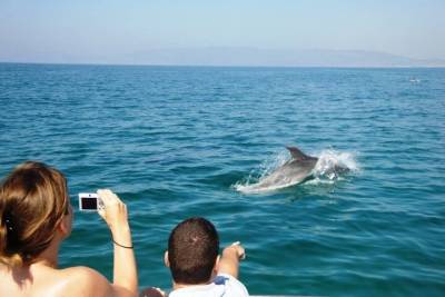 Dolphin Watching from Faro