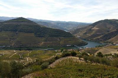 Private Douro Valley Tour from Porto