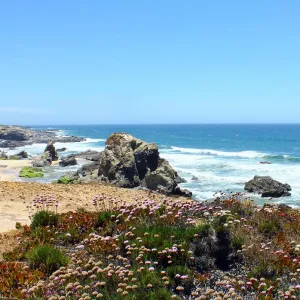 Praia do Samoqueira - Porto Covo