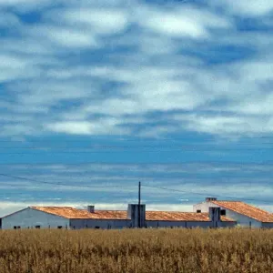 Farm near Sagres